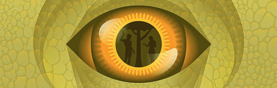 Illustrated Dinosaur Eye