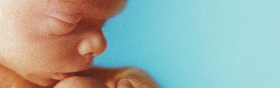 Fighting Abortion—The Measure of a Just Society