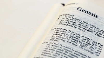 God Saw It Was&nbsp;.&nbsp;.&nbsp;.&nbsp;: God’s Seeing in Genesis 1 and 6