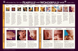 Fetal Development Wall Chart: Single copy