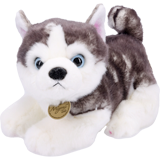 Plush - Siberian Husky
