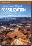 Evidence of Rapid Fossilization